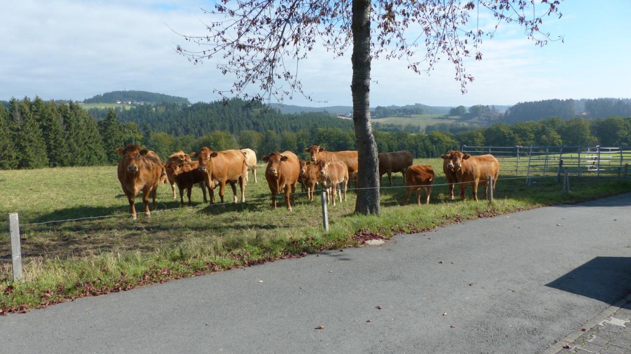Aussichtsbauernhofpension Hof Gretchens Winterberg Zewnętrze zdjęcie